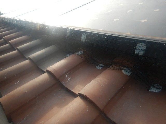 鳩ネット設置　施工後